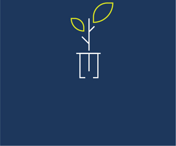 Tree planting